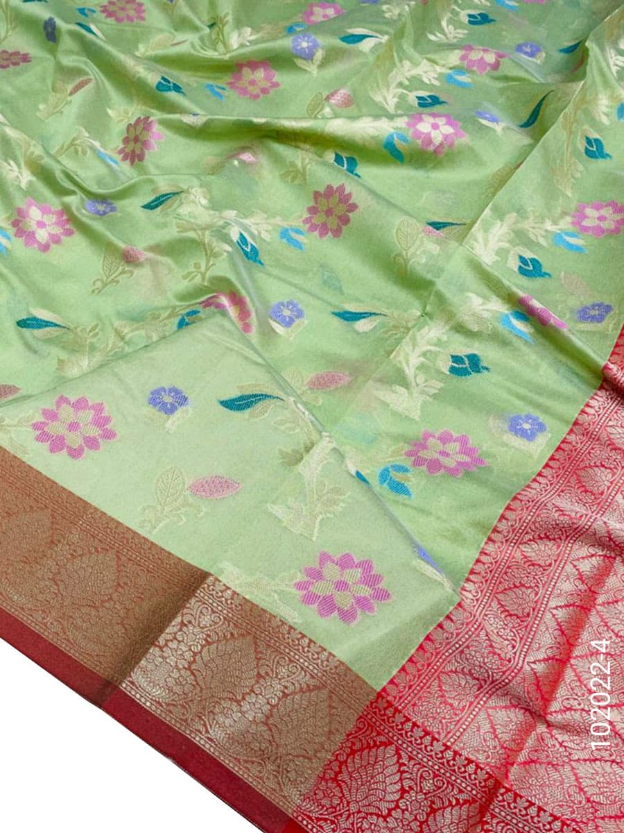 Pistachio cotton resham and zari jaal saree